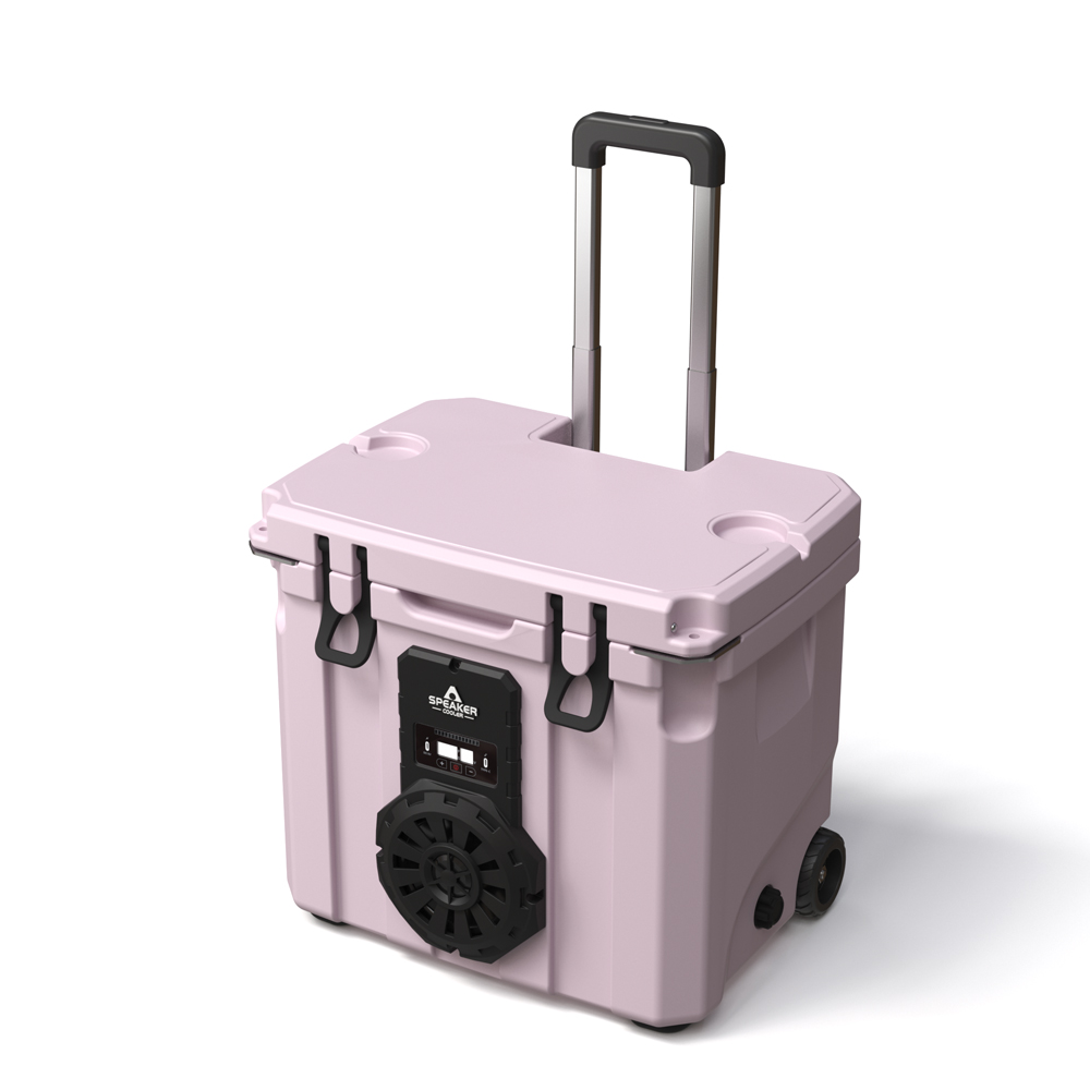 Food & Snacks Pdf - Borsa Frigo Portatile da 35L con