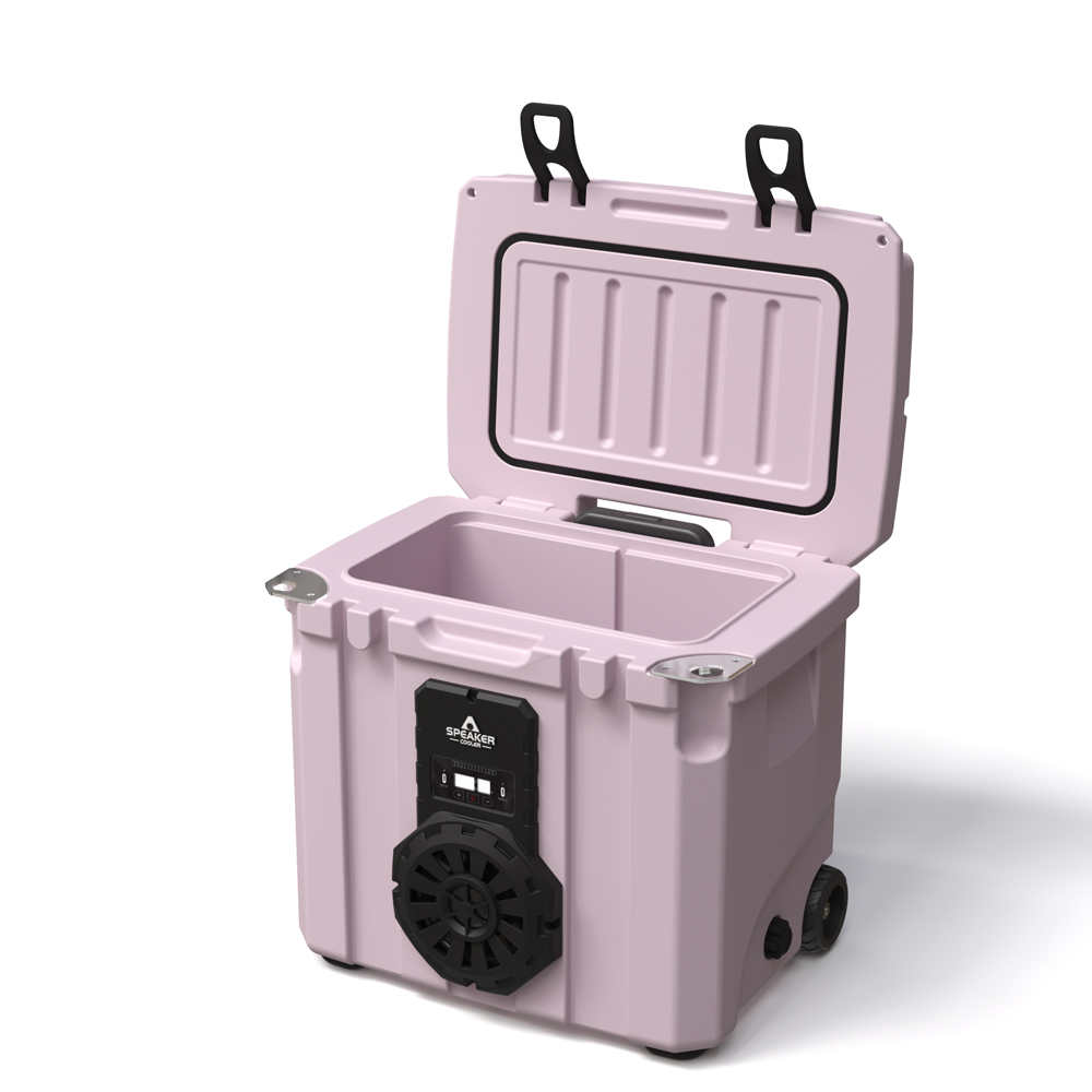 Borsa Frigo Portatile da 35L c - Food & Snacks Pdf recensione e prezzo