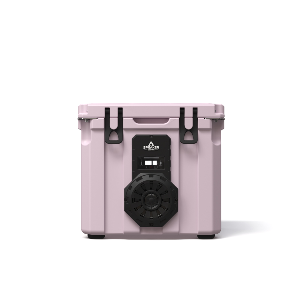 Borsa Frigo Portatile da 35L c - Food & Snacks Pdf recensione e prezzo
